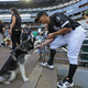 Photo: Jonathan Daniel/Getty Images